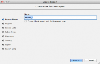 vs_report_editor_wizard_1_name.png