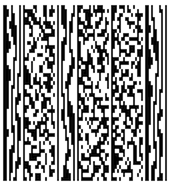 barcode_micropdf417.png