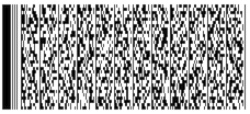 barcode_pdf417_truncated.png