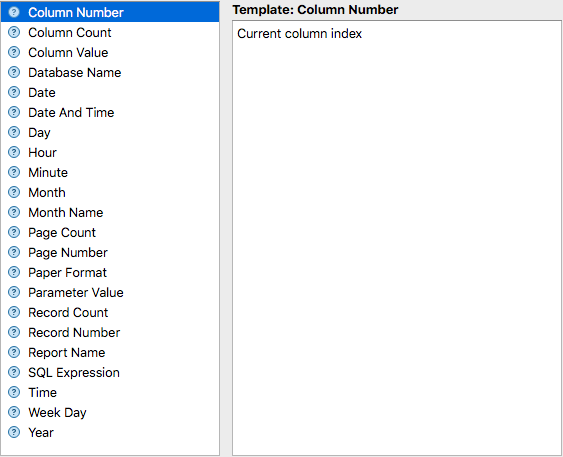 Report Editor - Expression : Templates Help